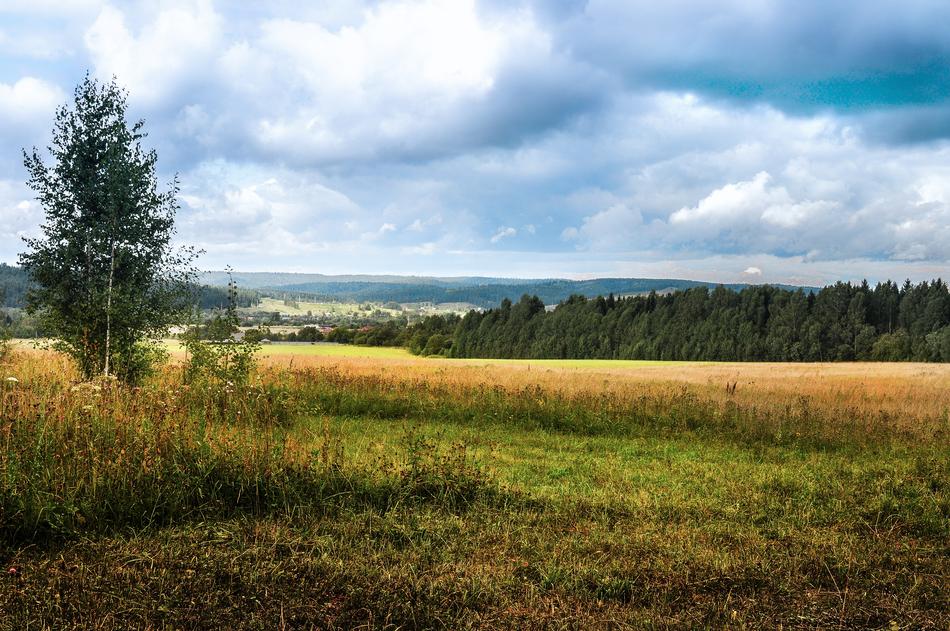 Panoramic Landscape Nature