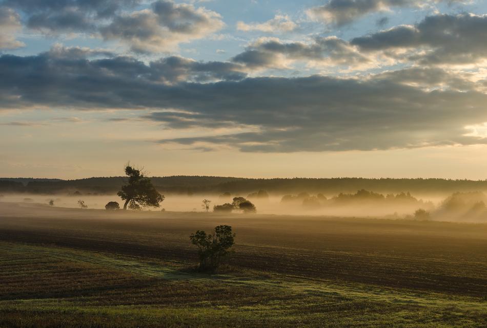 East Słonca Landscape