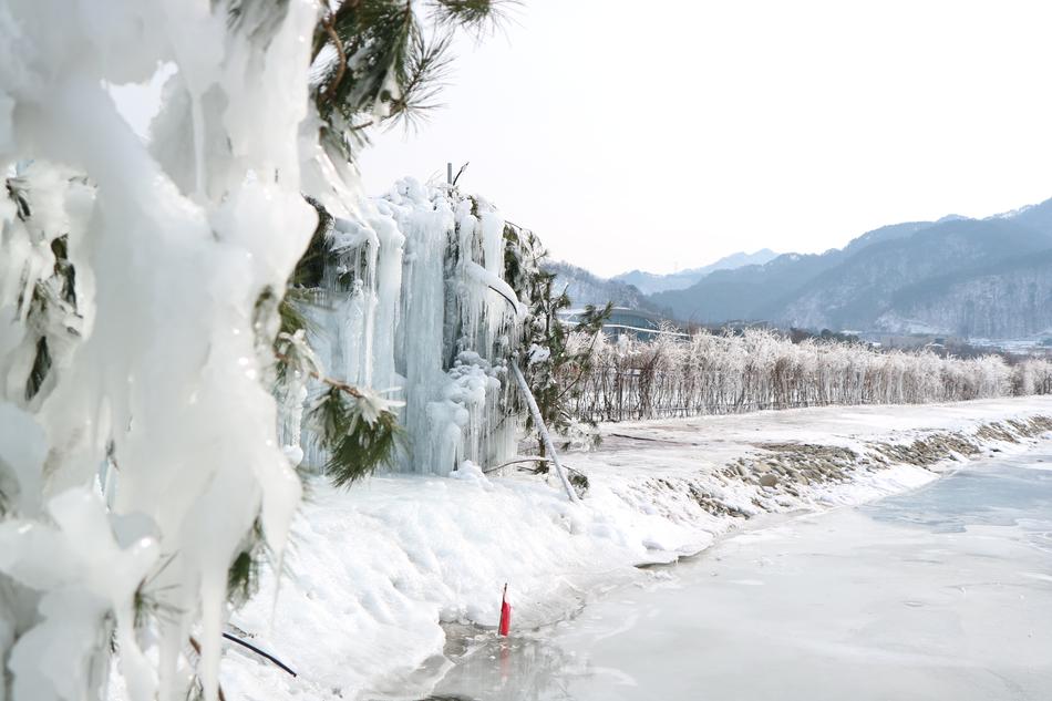 snowy landscape with lake view