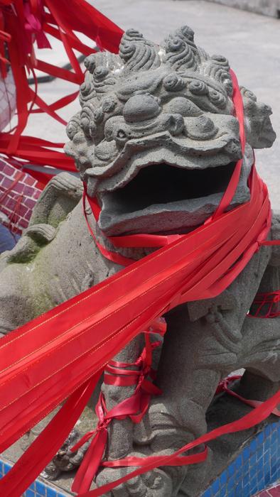 Chinese dragon in cloth