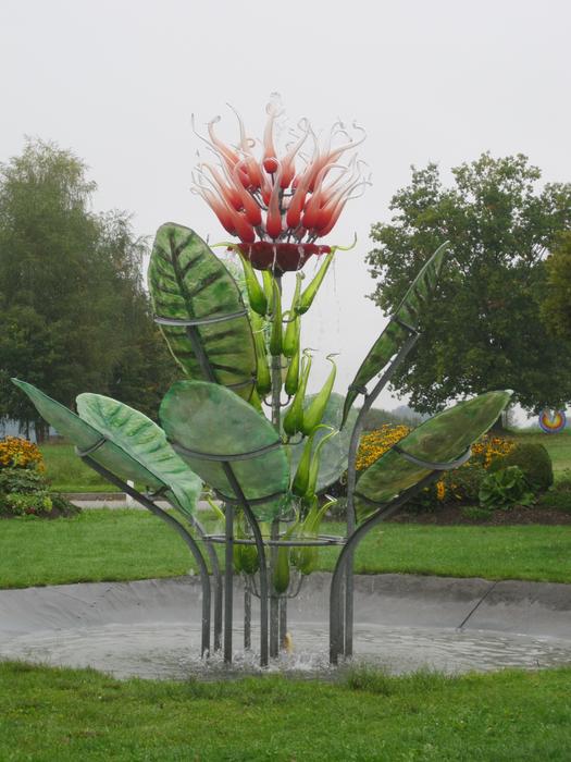 a big flower in the park