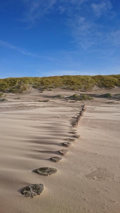 Sand Nature Panorama