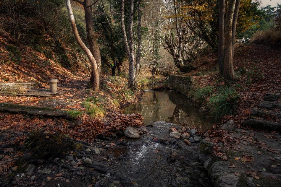 Nature Peace Landscape