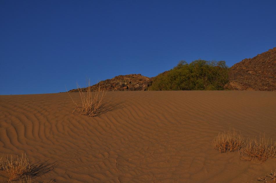 Desert Arid Sand