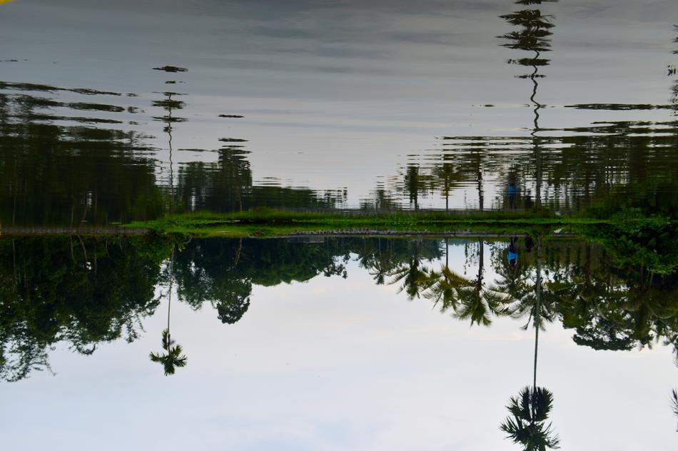 Water Reflection Nature