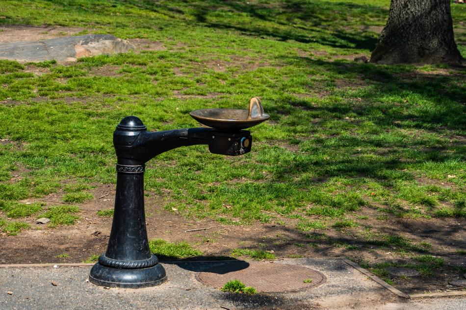 Drinking Fountain New York City