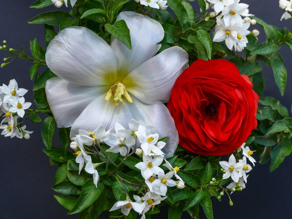 Flower Arrangement Red Ranunculus