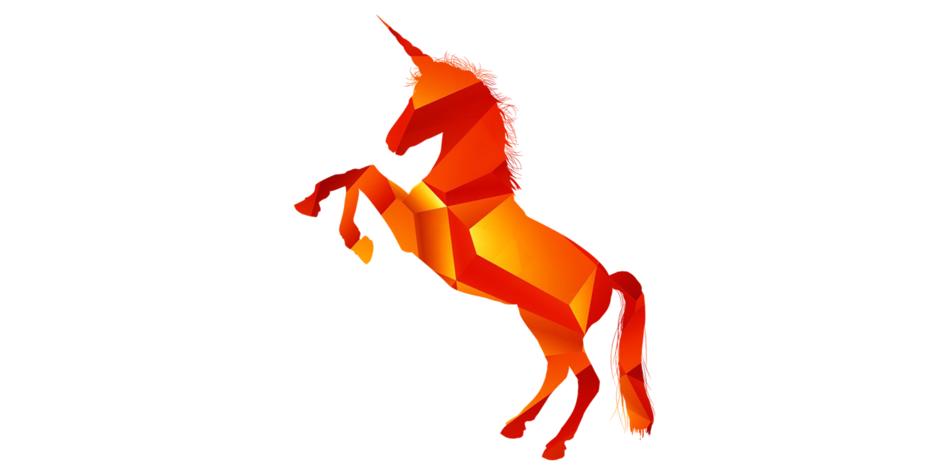 unicorn orange pink horse flower
