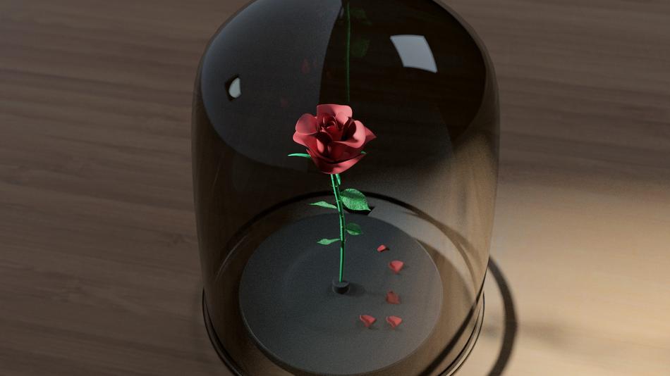red rose in a bottle