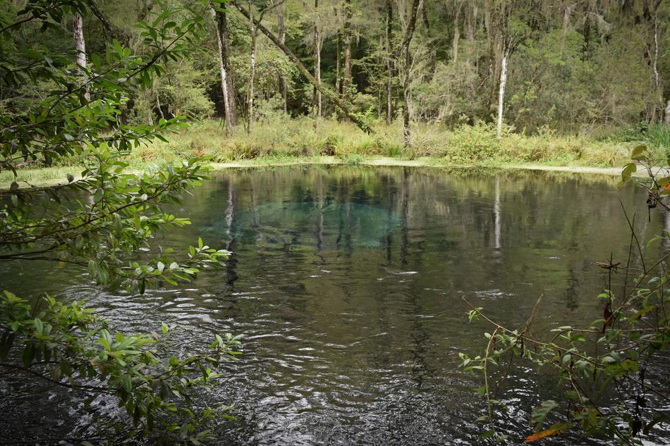 Water Nature River