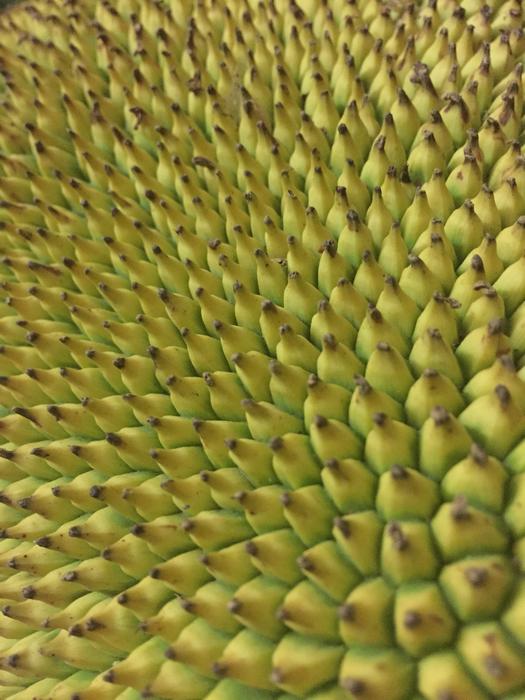 Nature Pattern Food