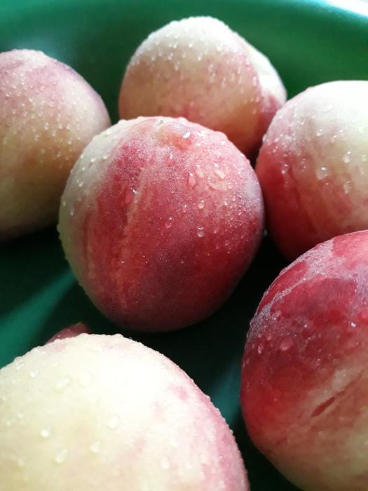 peaches with water drops