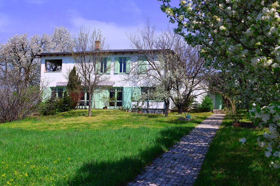 House Lawn Wood