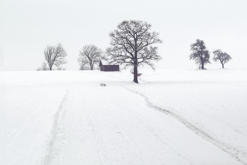 Winter Scene Landscape