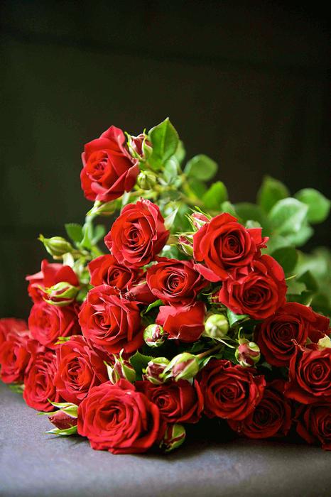Rose Bouquet Flower