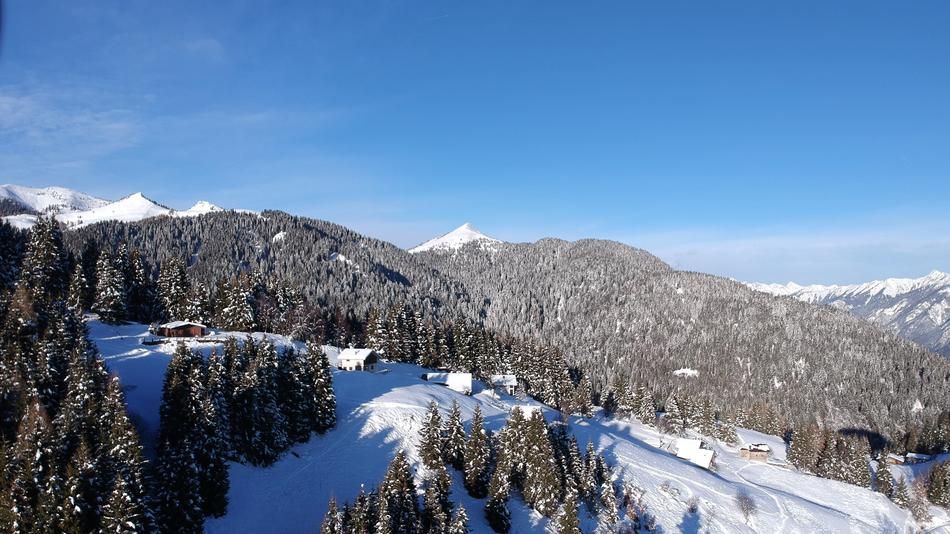 snowy landscape with forest in the mountains
