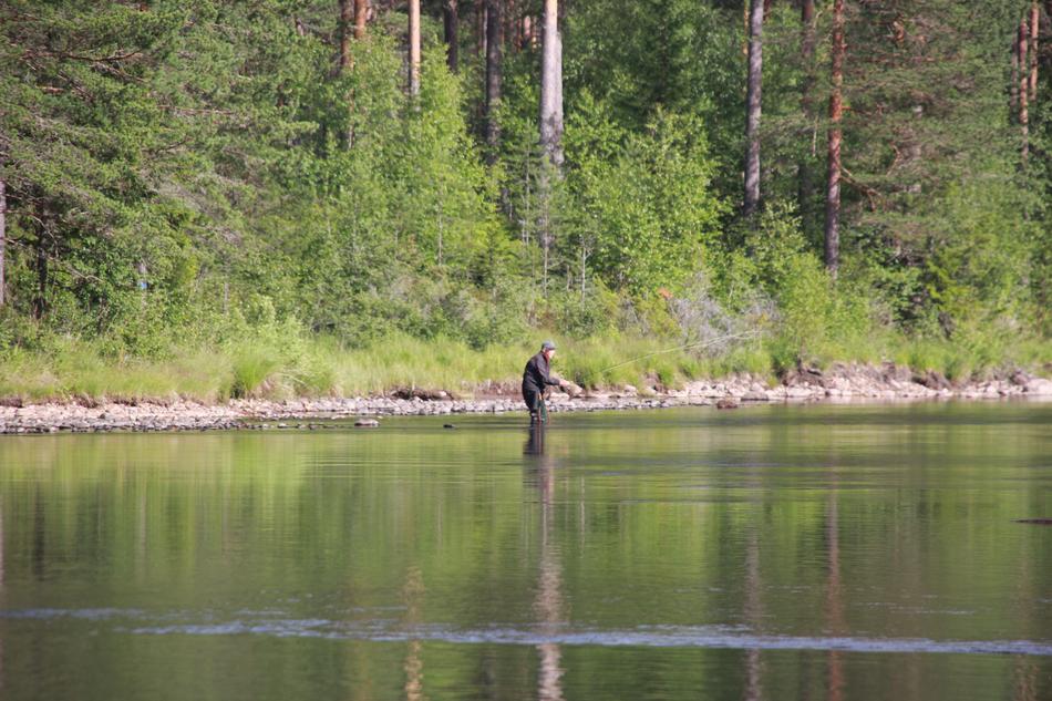 Body Of Water Nature Wood