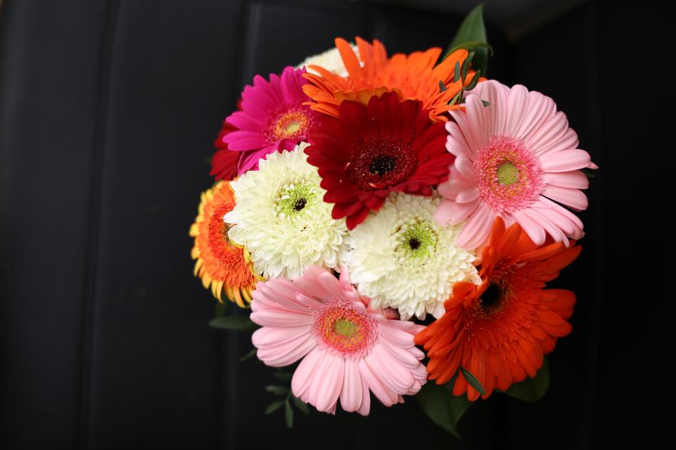 Gerbera Daisy Bouquet