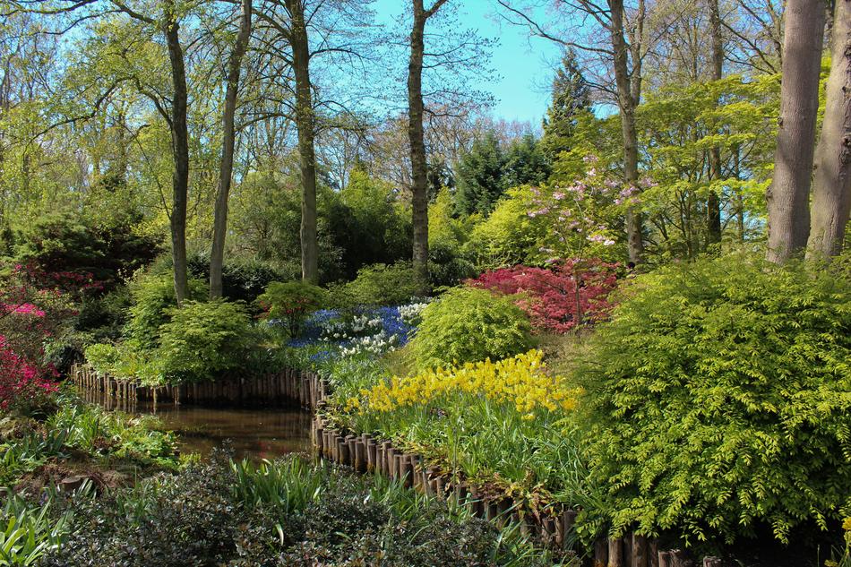 Park Landscape Keukenhof