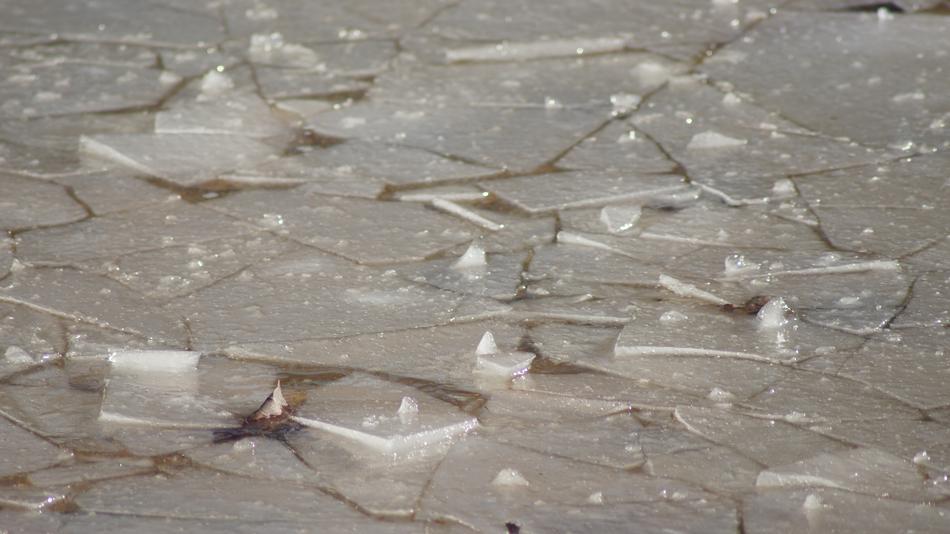 Ice Plaice Pond