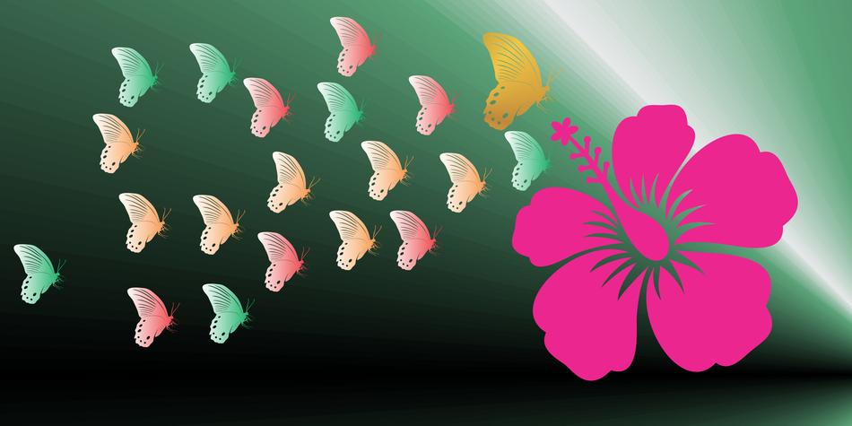 nature blooming flower butterfly
