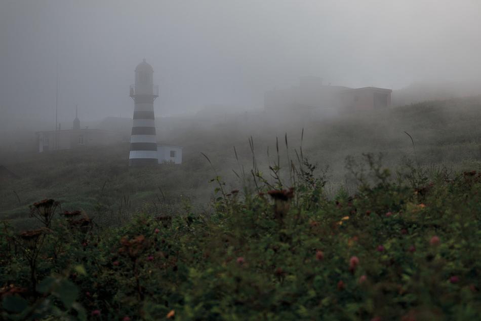 Fog Nature Landscape
