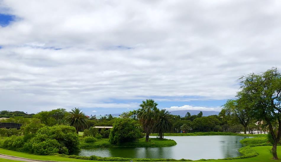 Nature Water Sky