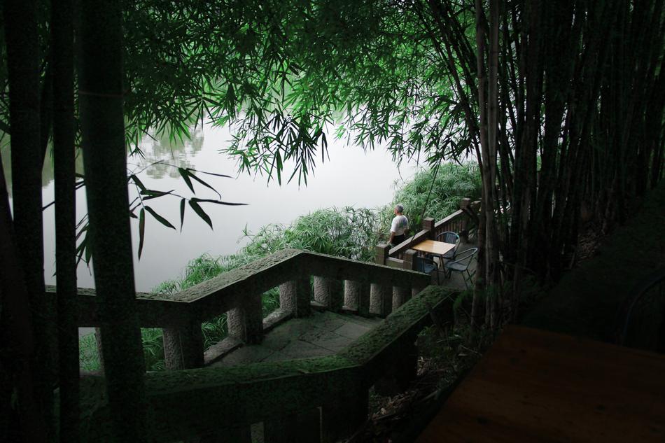 Wood Waters Tree