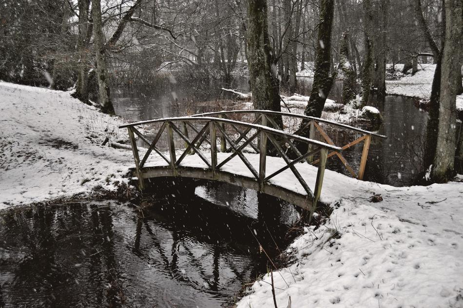 Winter Snow Cold