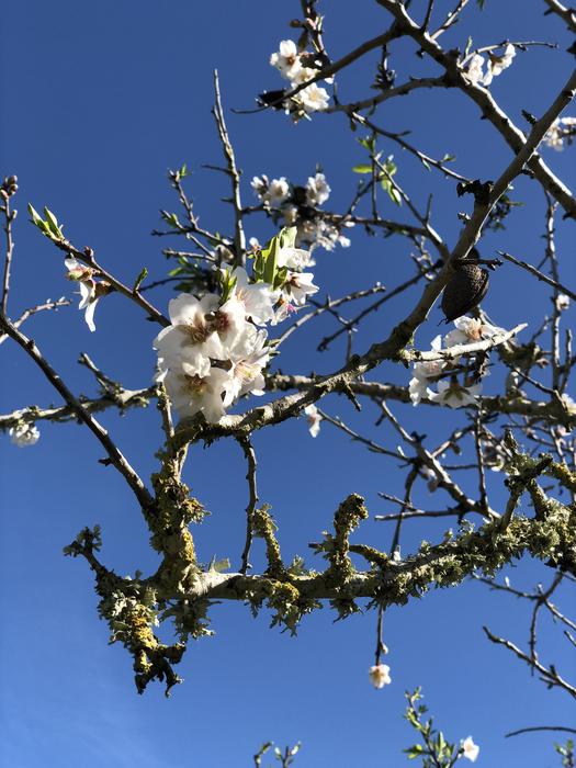 Tree Season Nature