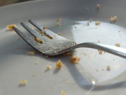 crumbs on a plate with a fork