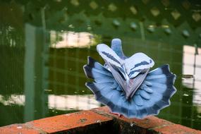 Outdoor Nature Waters