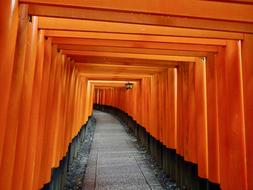 orange fence looks beautiful