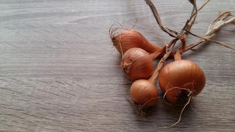 onions on the table