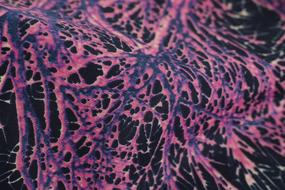 Fabric Textile Texture