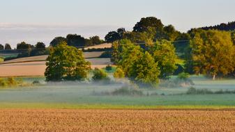 Landscape Morning Fog Ground