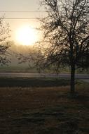 the white sun is beautiful
