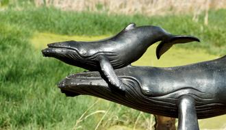 Whale Statue Bronze