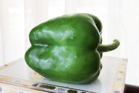 Fresh juicy peppers on a white background