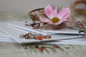 Still Life Desktop Flower