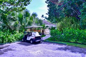 Golf Kart Tree
