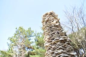 mushroom big pillar