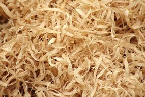 Shavings Tree Sawdust