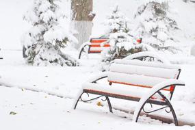 Snow Winter Cold