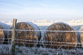 Hoarfrost Nature Sky