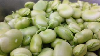 ripe juicy vegetables