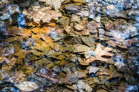 Nature Fall River