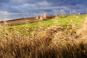 Field Clouds Landscape