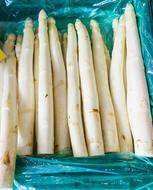 pureed asparagus in a box