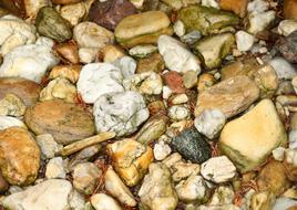 The Stones Wet After Rain